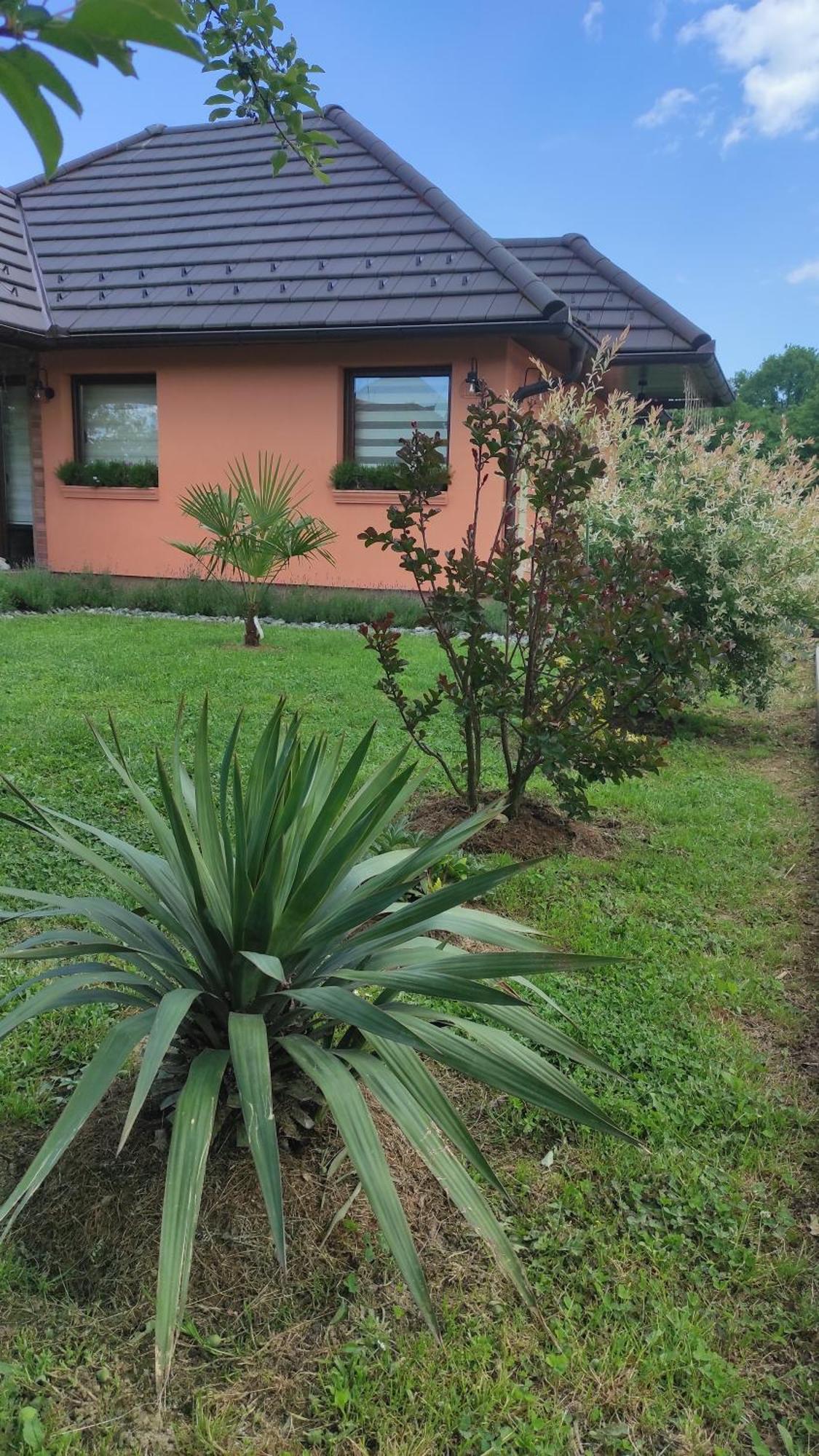 Apartman A&E Zivinice Esterno foto